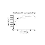 Kras G12A Nucleotide Exchange Assay Kit